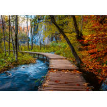 Ravensburger Beautiful Walkways puzzel herfstig bospad - 1000 stukjes productafbeelding 2