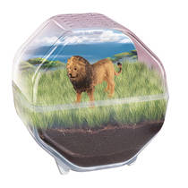 Clementoni Wetenschap & Spel My Wild Terrarium leeuw productafbeelding 4
