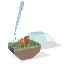 Clementoni Wetenschap & Spel My Wild Terrarium leeuw productafbeelding 6