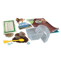 Clementoni Wetenschap & Spel My Wild Terrarium leeuw productafbeelding 5