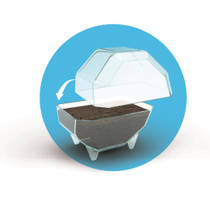Clementoni Wetenschap & Spel My Wild Terrarium leeuw productafbeelding 3