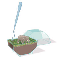 Clementoni Wetenschap & Spel My Wild Terrarium olifant productafbeelding 6