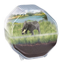 Clementoni Wetenschap & Spel My Wild Terrarium olifant productafbeelding 4