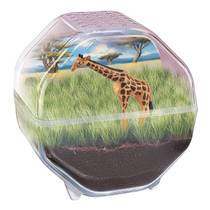 Clementoni Wetenschap & Spel My Wild Terrarium giraffe productafbeelding 5