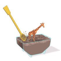 Clementoni Wetenschap & Spel My Wild Terrarium giraffe productafbeelding 6