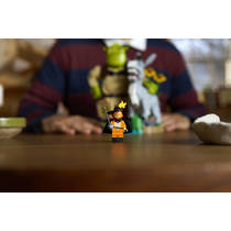 LEGO Shrek, Ezel en de Gelaarsde Kat 72423 productafbeelding 6