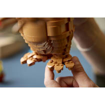 LEGO Ideas E.T. the Extra-Terrestrial 21370 productafbeelding 8