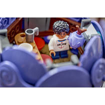 LEGO ONE PIECE Gom Gom-vrucht 75647 productafbeelding 5