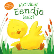 Wat vind eendje leuk?