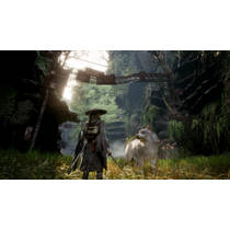 Beast of Reincarnation PS5 productafbeelding 2