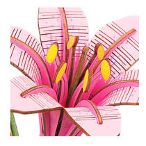 Robotime Rowood houten bloem roze lelie productafbeelding 2