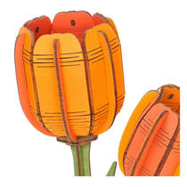 Robotime Rowood houten bloem oranje tulp productafbeelding 2