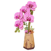 Robotime Rowood houten bloem paarse orchidee hoofdafbeelding product