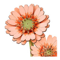 Robotime Rowood houten bloem oranje gerbera productafbeelding 2