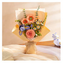 Robotime Rowood houten bloem paarse Iris productafbeelding 7