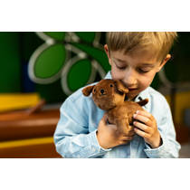 nijntje & Friends knuffel Snuffie - 17 productafbeelding 3