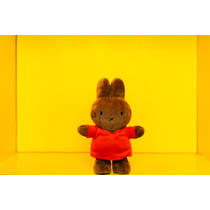 nijntje & Friends knuffel Nina - 23 cm productafbeelding 5