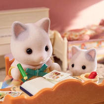Sylvanian Families familie Latte Kat 5738 productafbeelding 9