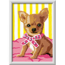 Ravensburger CreArt Schilderen op Nummer Chihuahua