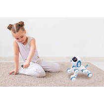 Power Puppy Jr productafbeelding 7